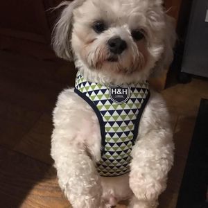 Meet your Posher, Kate